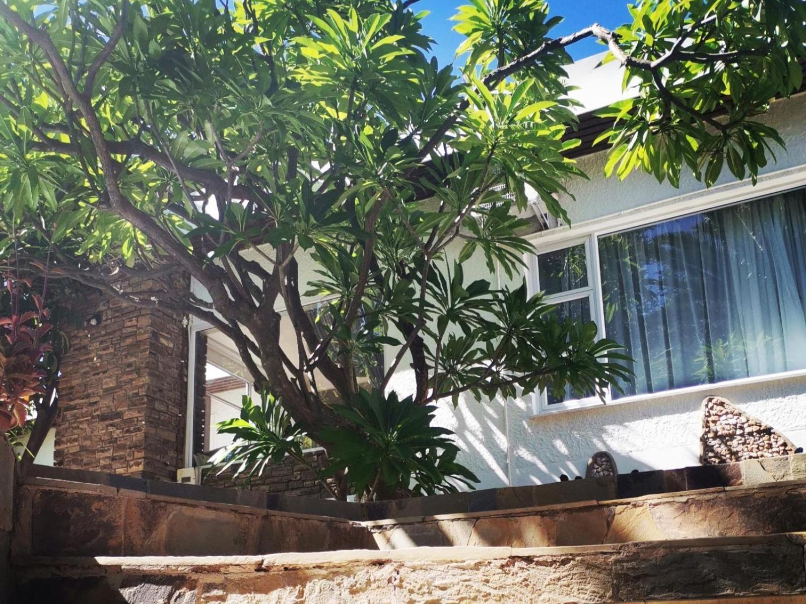 Guesthouse Terra Africa วินด์ฮุก ภายนอก รูปภาพ